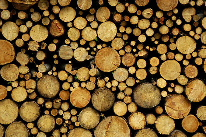 Chopped Logs